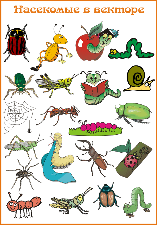 Тема в саду насекомые. Насекомые для детей. Насекомые для детей дошкольного возраста. Насекомые рисунок для детей. Иллюстрации насекомых для детского сада.
