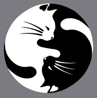 Чёрно-белые рисунки и картинки кошек, котиков - коллекция 3