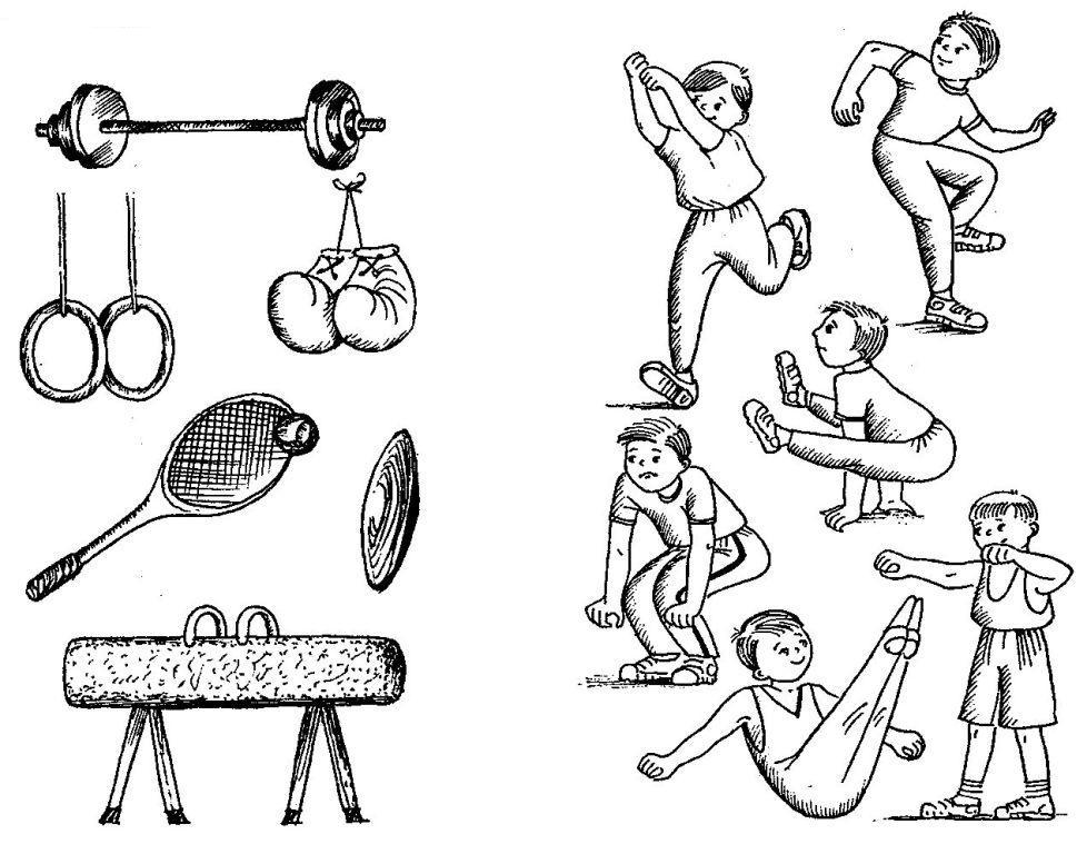 Спортивные снаряды картинки для детей