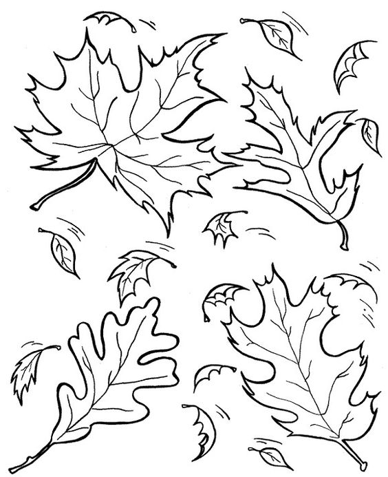 Шаблон кленовый лист, интересные рисунки шаблоны кленовый лист 7