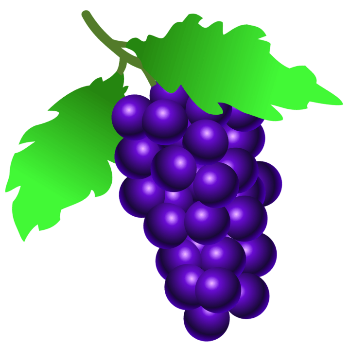 шаблон виноград