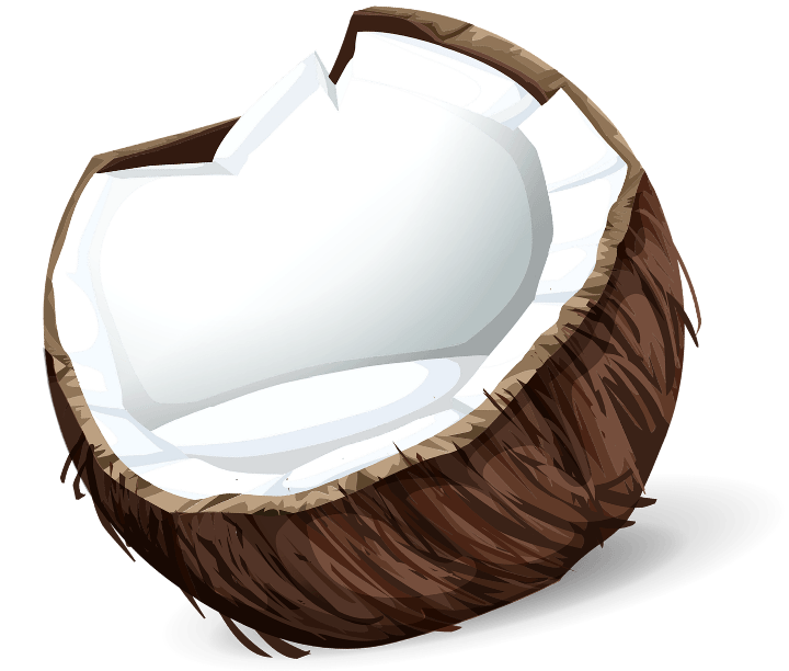 шаблон кокоса