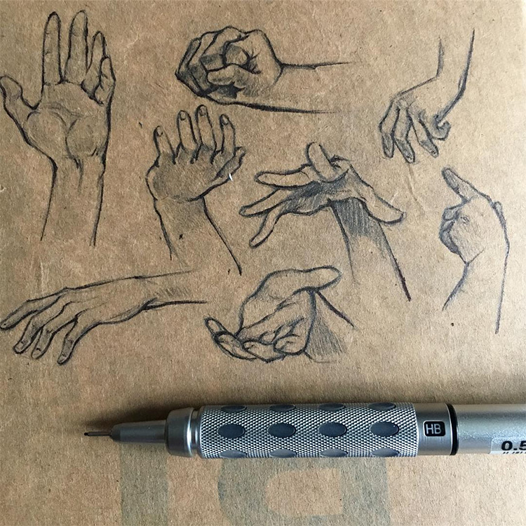 Toned paper hand sketches