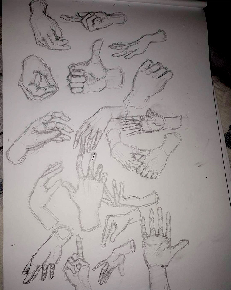 Beginner hand drawing practice