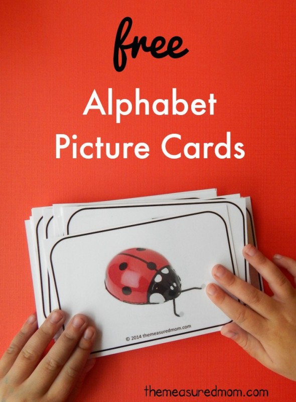 These free printable alphabet cards are gorgeous! Love the bright colors... and they have at least 4 pictures for every letter!