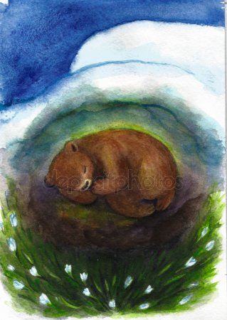 Картинка Медведь спит в берлоге для детей   лучшие фото (4)