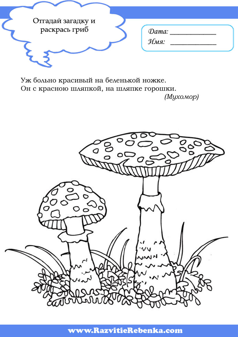 Картинки несъедобных грибов для детей с названиями   сборка (13)