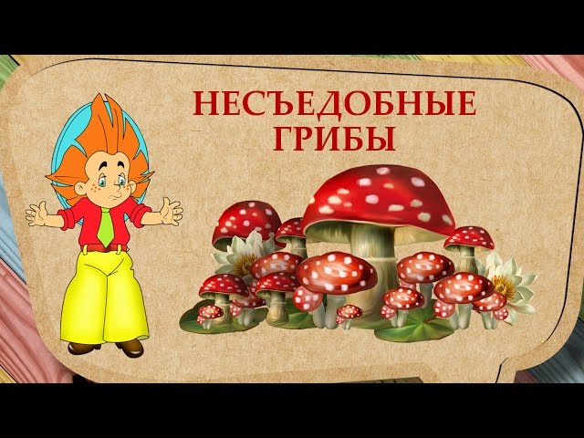 Картинки несъедобных грибов для детей с названиями   сборка (20)