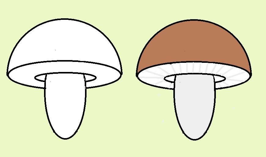 Картинки несъедобных грибов для детей с названиями   сборка (32)