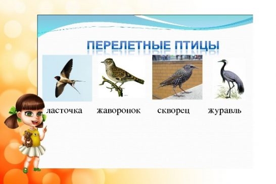 Названия перелетных птиц для детей   картинки 004