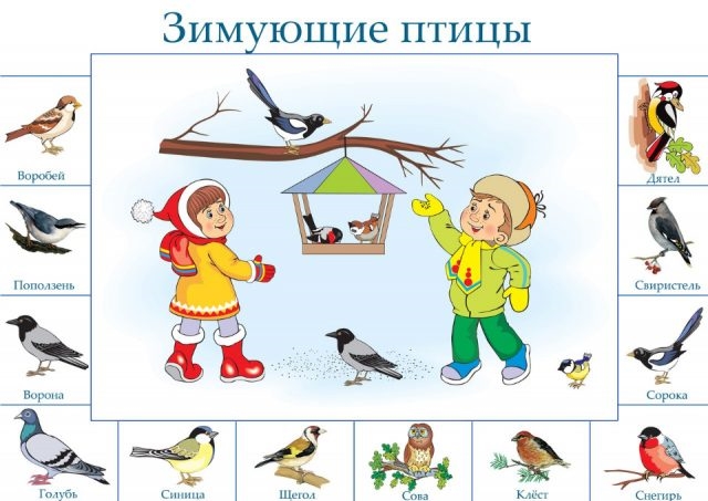 Названия перелетных птиц для детей   картинки 005
