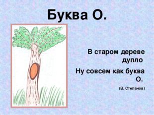 Буква О. В старом дереве дупло Ну совсем как буква О. (В. Степанов) Рисунок С