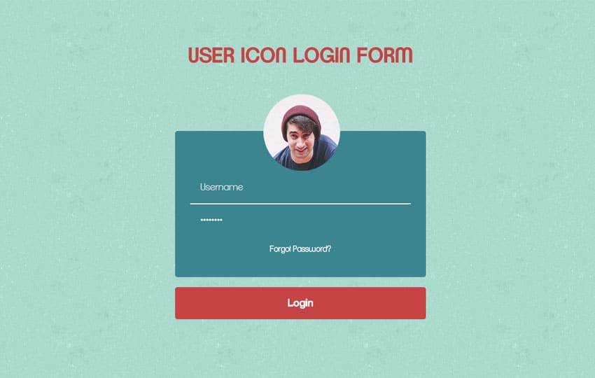 User Icon Login Form