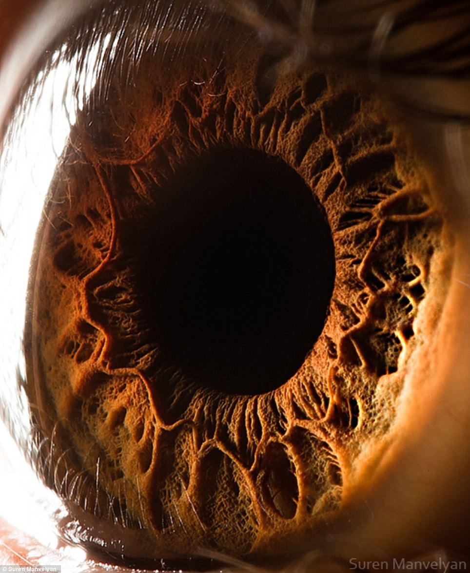 Eye catching: This incredible picture shows a close up of a human eye, revealing in remarkable detail the structures of the iris