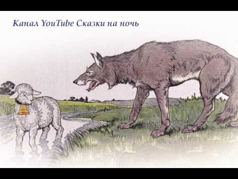Басня Крылова Волк и Ягненок
