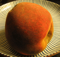 Time-lapse photography sequence of a peach becoming progressively discolored and disfigured