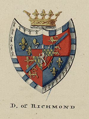 Arms of Duke of Richmond 02817