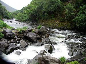 Hawaii Creek