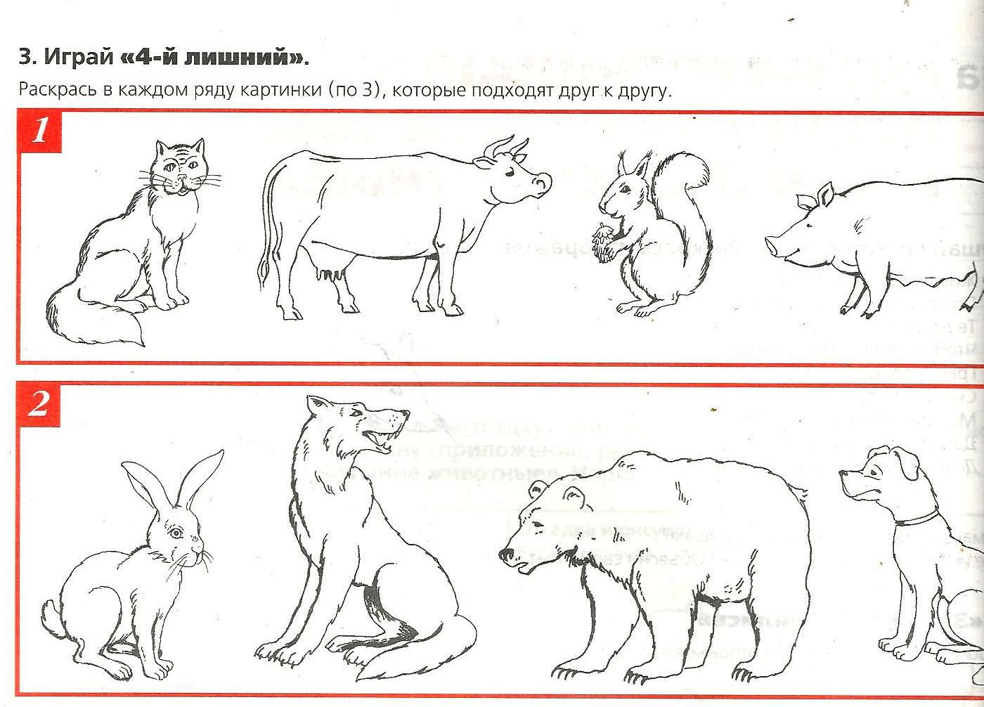 Задания дикие животные в картинках