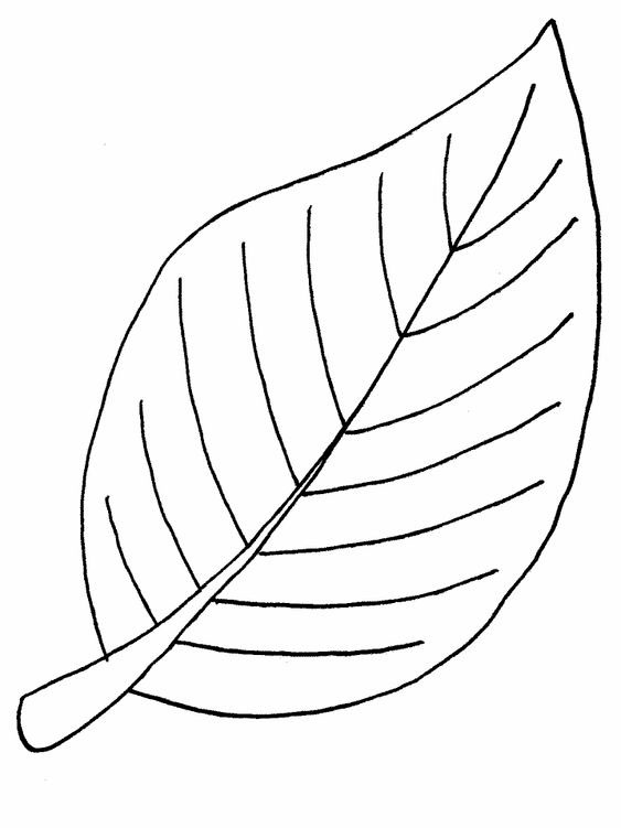 Шаблоны листьев для вырезания из бумаги для детей 2-3 лет