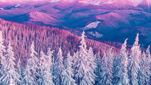 Красивые и красочные картинки зимы на телефон на заставку 12