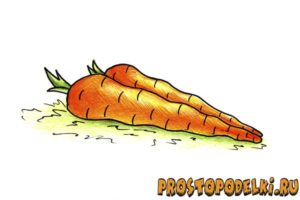 Как нарисовать морковь-title