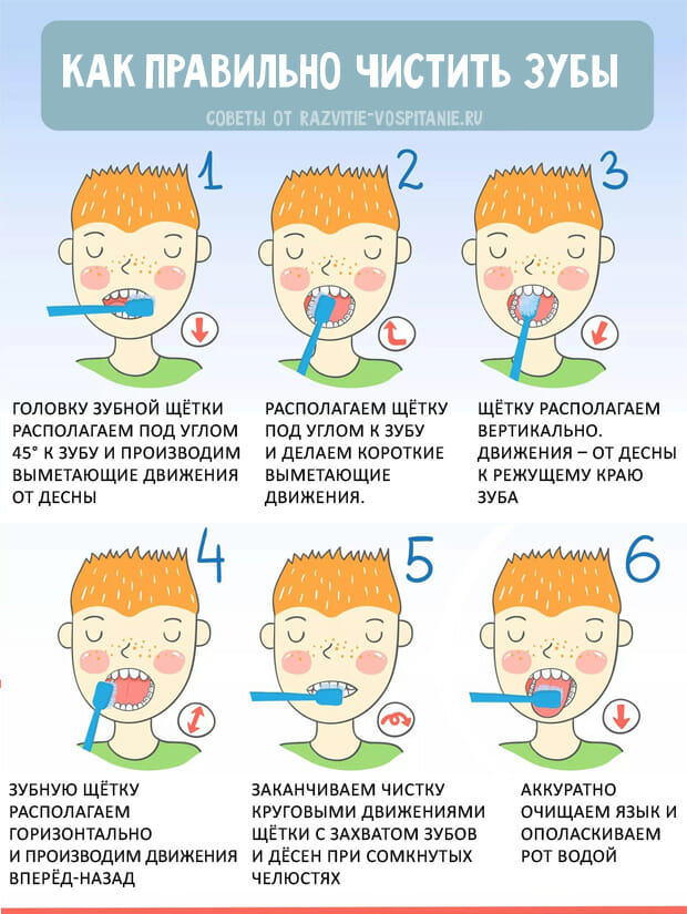 Чистим зубы правильно картинки