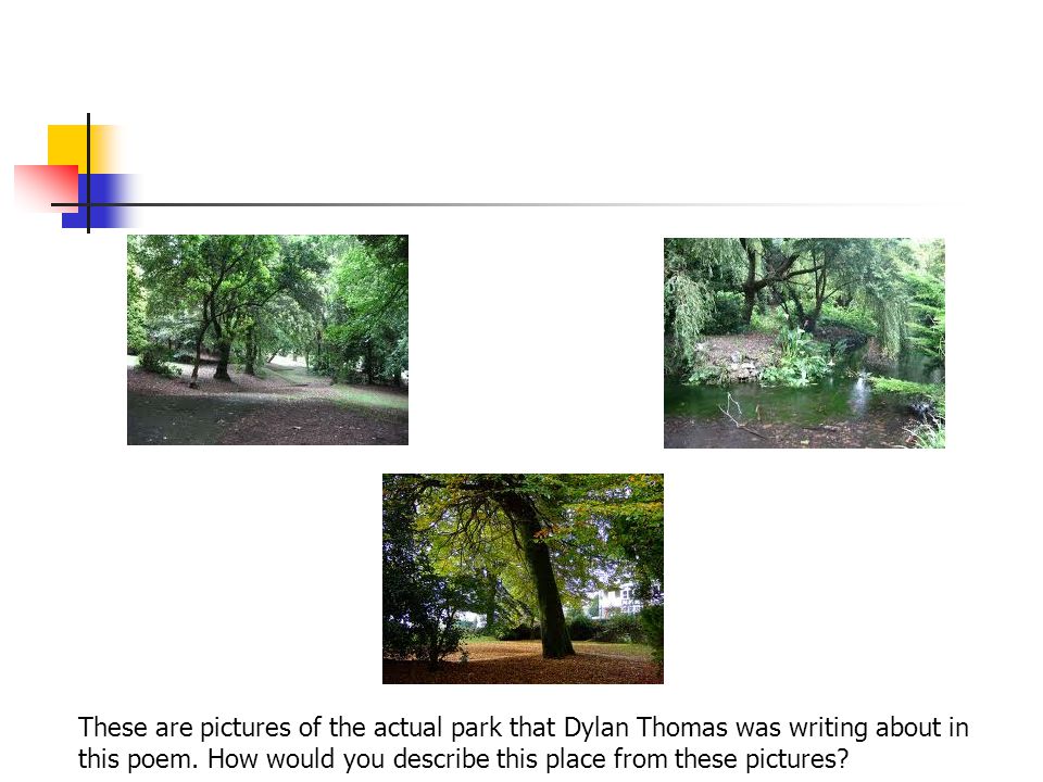 These are pictures of the actual park that Dylan Thomas was writing about in this poem.