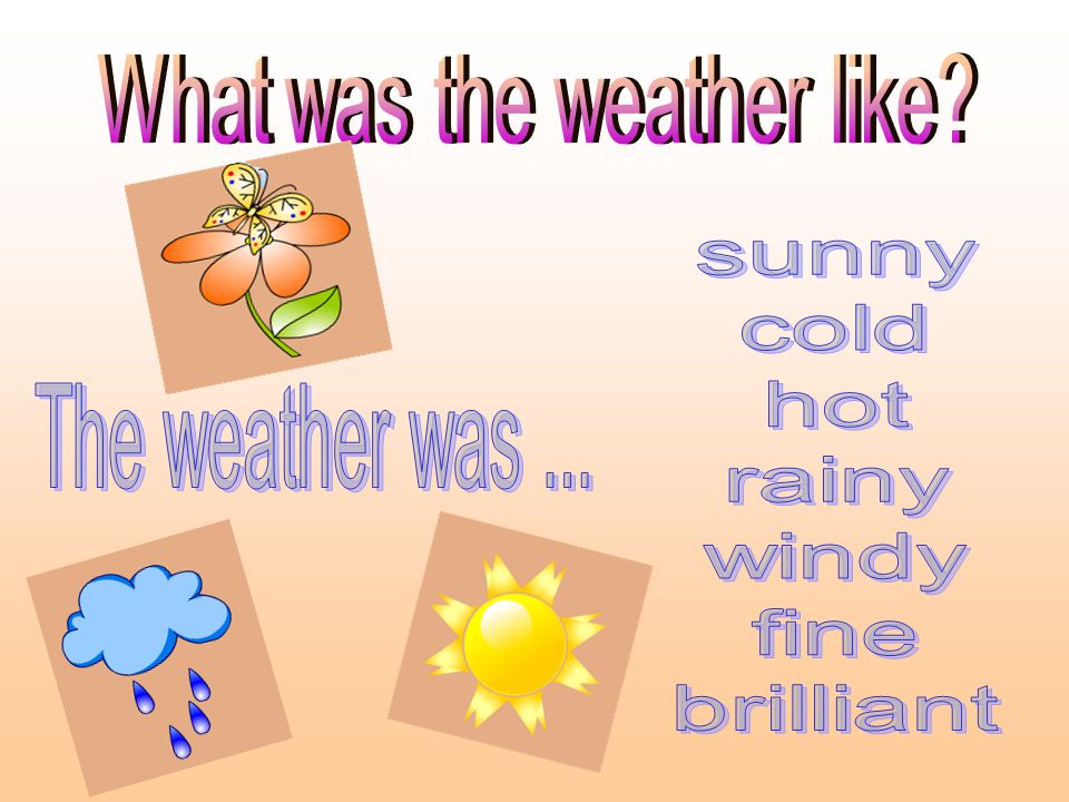 What was the weather like