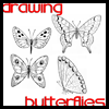 How to draw a beautiful butterfly with simple instructions