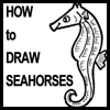 How to Draw Seahorses with easy steps