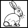 How to Draw Cartoon Bunny Rabbits