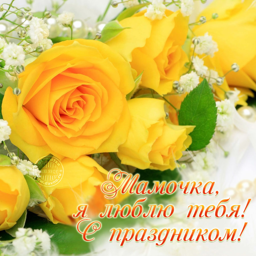 Красивая картинка с удивительными розами в праздник мам
