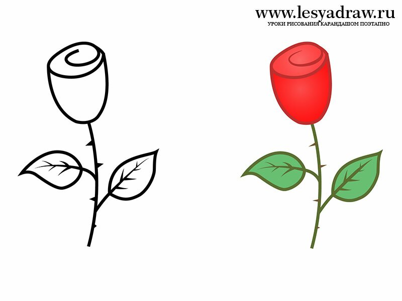 Как нарисовать розу ребенку