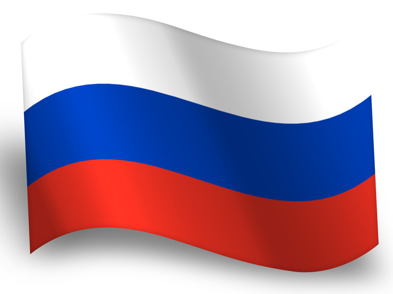 Череп на фоне российского флага