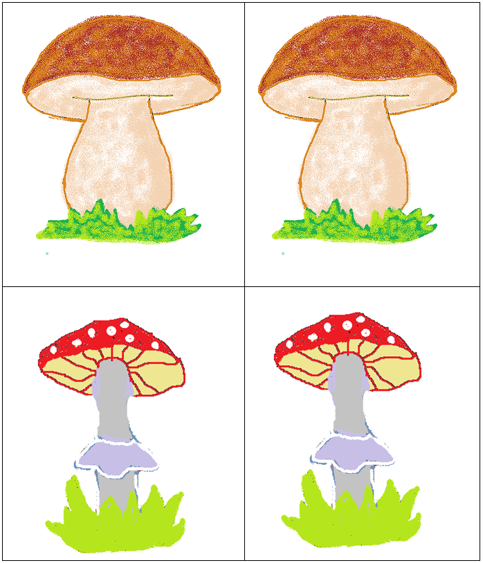 Грибы картинки 1 класс